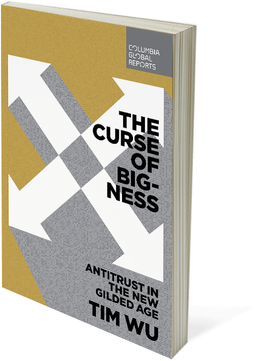 The Curse of Bigness